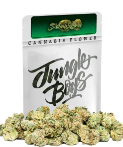 cannabis delivery bronx