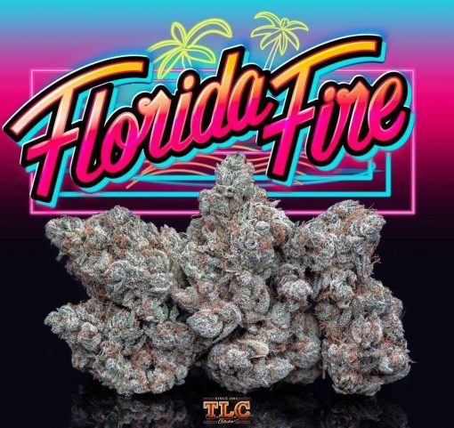 FLORIDA CAKE (JUNGLE BOYS)3.5g INDICA
