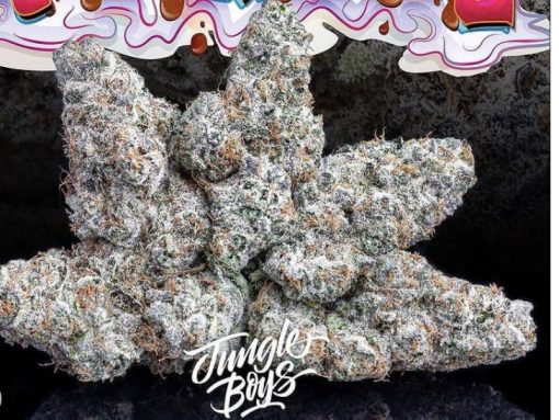 FLORIDA CAKE (JUNGLE BOYS)3.5g INDICA