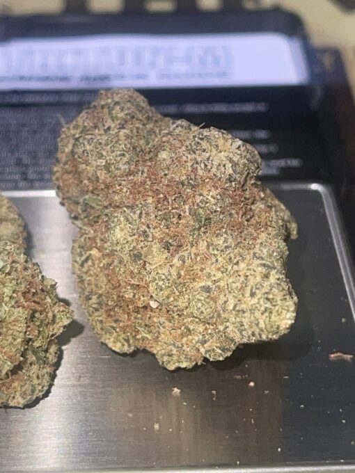 GRAPE FRUIT HAZE (Sativa) RARE HAZE +++