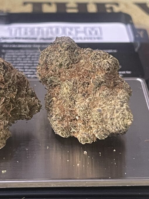 GRAPE FRUIT HAZE (Sativa) RARE HAZE +++