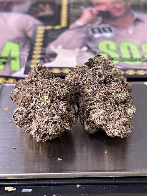 SOSA (Biscotti BoyS)HYBRID 35%THC NEW  EXOTICS +++