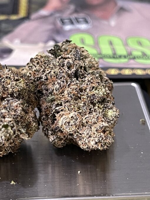 SOSA (Biscotti BoyS)HYBRID 35%THC NEW  EXOTICS +++
