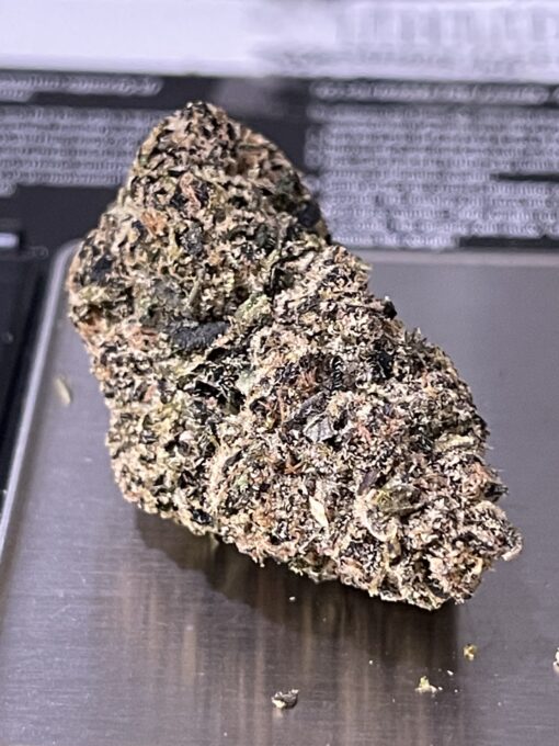 Manhattan GUM DROP (GOONiES) INDICA EXOTICS+++