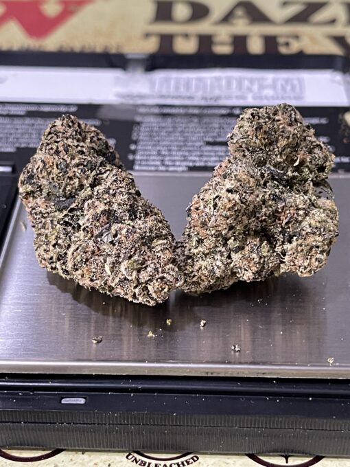 Manhattan GUM DROP (GOONiES) INDICA EXOTICS+++