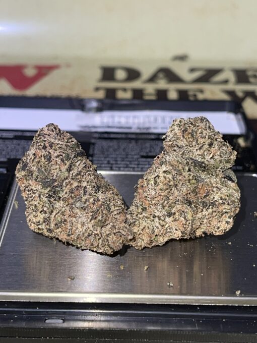 Manhattan GUM DROP (GOONiES) INDICA EXOTICS+++