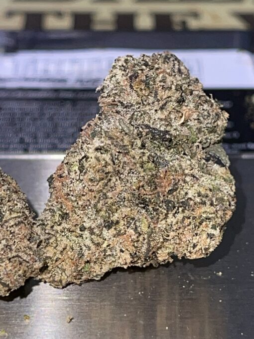 Manhattan GUM DROP (GOONiES) INDICA EXOTICS+++