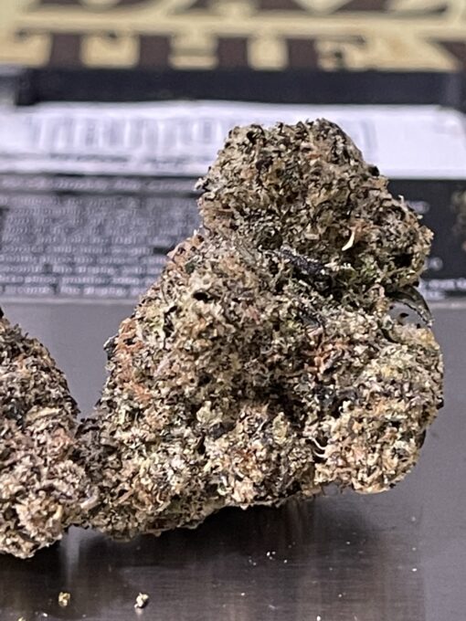 Manhattan GUM DROP (GOONiES) INDICA EXOTICS+++