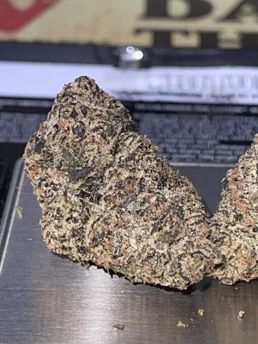 Manhattan GUM DROP (GOONiES) INDICA EXOTICS+++