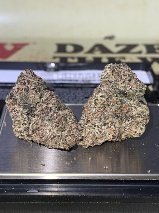 Manhattan GUM DROP (GOONiES) INDICA EXOTICS+++