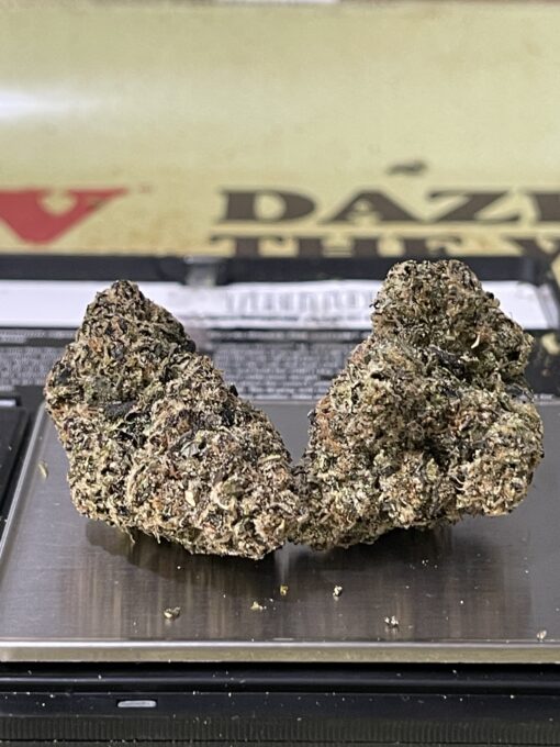 Manhattan GUM DROP (GOONiES) INDICA EXOTICS+++