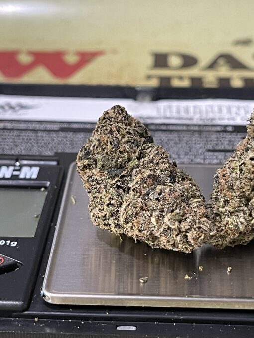 Manhattan GUM DROP (GOONiES) INDICA EXOTICS+++