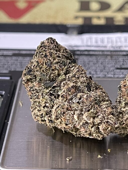 Manhattan GUM DROP (GOONiES) INDICA EXOTICS+++
