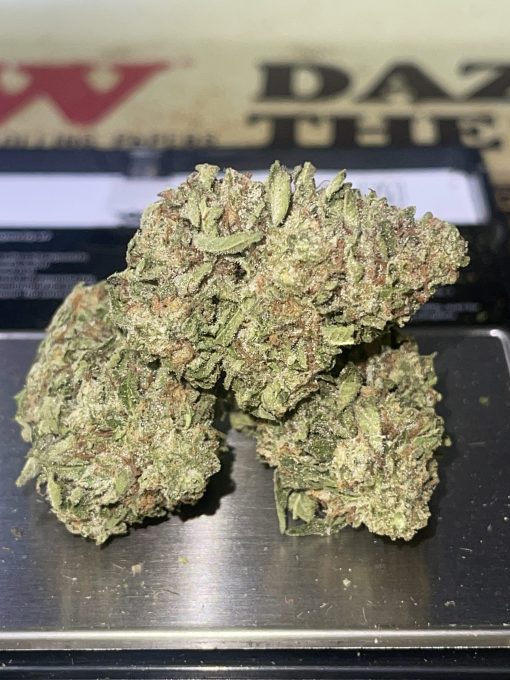 GELATO33 (HYBRID)3.5g GREENHOUSE