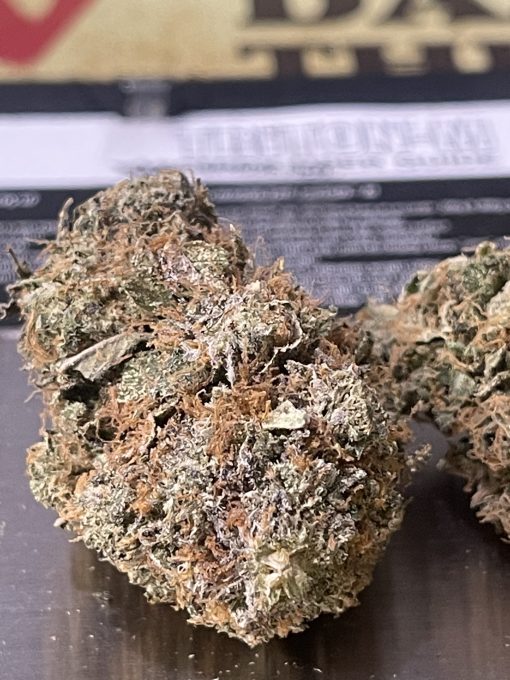 Cherry zlushie (INDOOR) INDICA