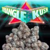 Animal Tsunami (jungle boys) Indica