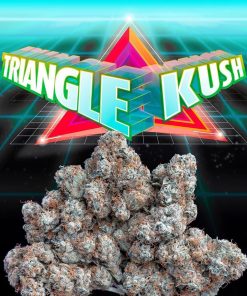 kush delivery bronx