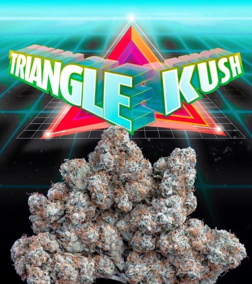 TRIANGLE KUSH (Jungle BoyS) Indica