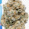 HANS SOLO 3.5 (Jungle Boys) SATIVA