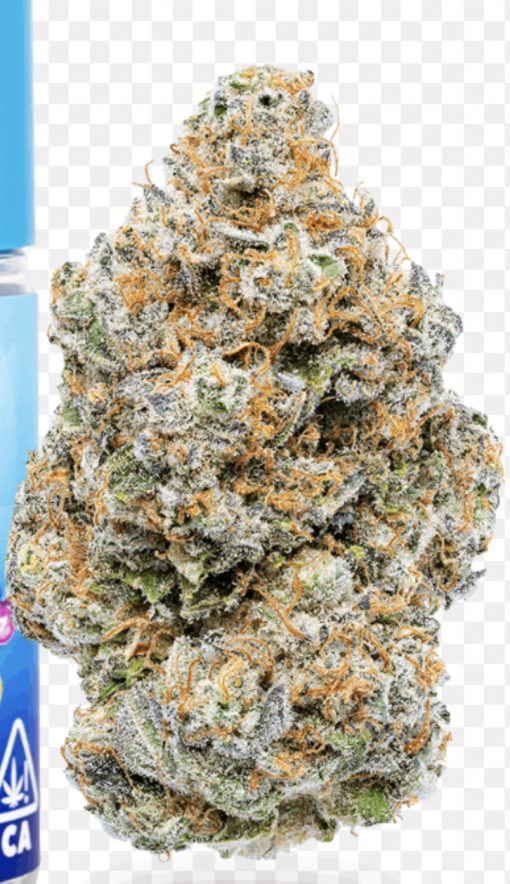 ZBERRY 3.5g (jungle boys) INDICA 🔥🔥