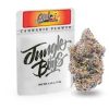 FLORIDA CAKE (JUNGLE BOYS)3.5g INDICA