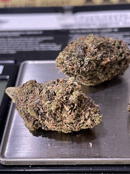 Cookies & Cream (INDOOR) 3.5 HYBRID ON SALE 🔥🔥