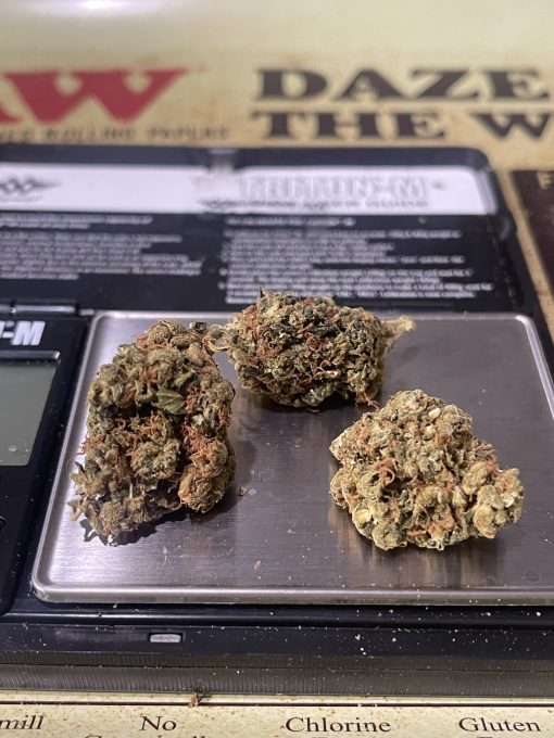 JACK HERER 28g OZ SATIVA OUTDOOR 17%THC