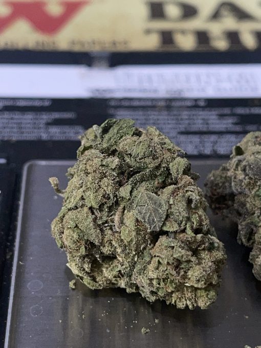 TROPICAL RUNTZ (greenhouse) 28g OZ HYBRID/SATIVA on SALE 🔥🔥