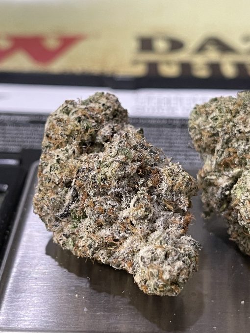 KRYPTO CHRONIC (ALIEN LABS) HYBRID EXOTIC+++