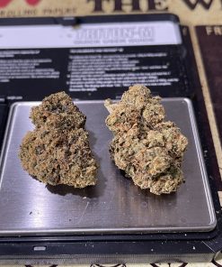 cannabis delivery service bronx