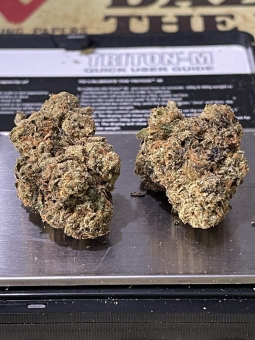 ATOMIC APPLE 3.5 HYBRID EXOTICS ON SALE 🔥🔥