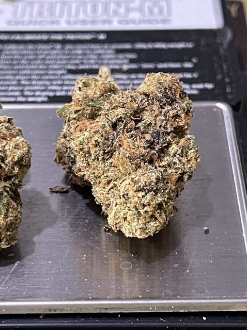 ATOMIC APPLE 3.5 HYBRID EXOTICS ON SALE 🔥🔥
