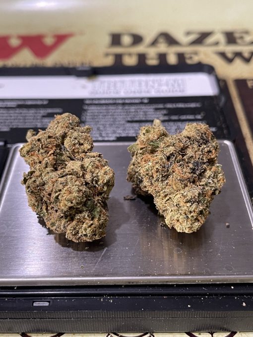 ATOMIC APPLE 3.5 HYBRID EXOTICS ON SALE 🔥🔥