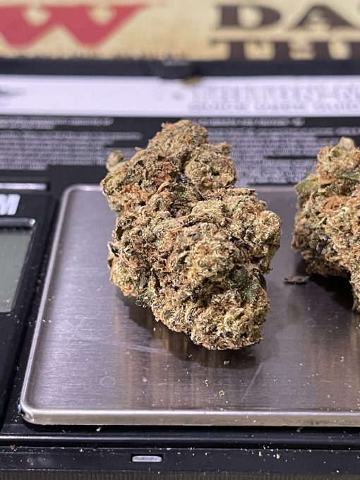 ATOMIC APPLE 3.5 HYBRID EXOTICS ON SALE 🔥🔥