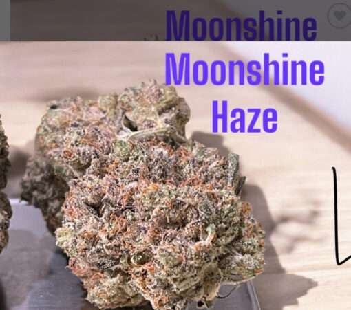 MOONSHINE HAZE 3.5g SATIVA 🏆 37%THC LIMITED BATCH RARE”