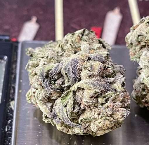 KING GELATO 28g OZ ON SALE 🔥🔥 HYBRID
