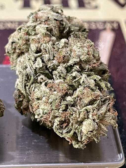 KING GELATO 28g OZ ON SALE 🔥🔥 HYBRID