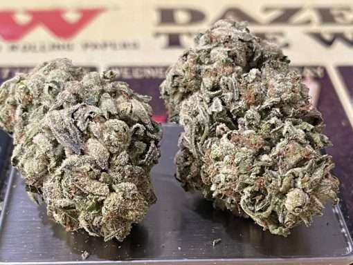 KING GELATO 28g OZ ON SALE 🔥🔥 HYBRID