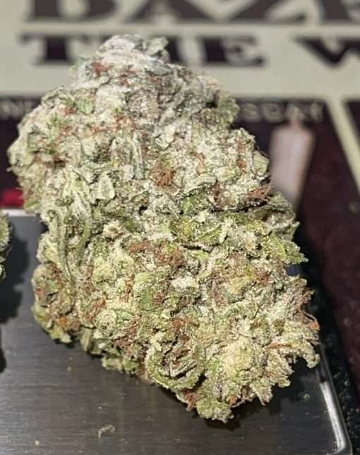 KING GELATO 28g OZ ON SALE 🔥🔥 HYBRID
