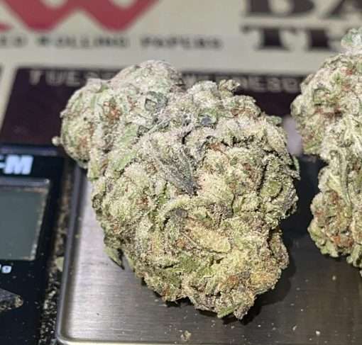 KING GELATO 28g OZ ON SALE 🔥🔥 HYBRID