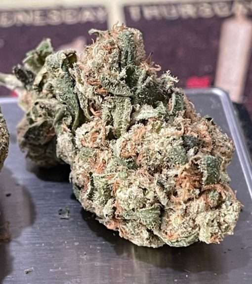 DURBAN POISON 3.5g SATIVA 27%THC 🔥🔥