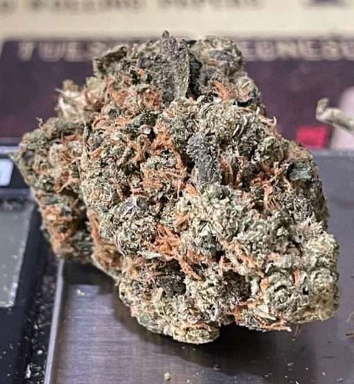 DURBAN POISON 3.5g SATIVA 27%THC 🔥🔥