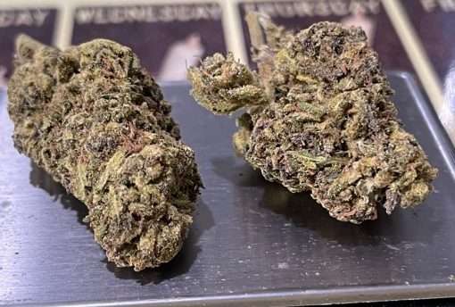 AZUL28g OZ FOR SALE INDICA $100