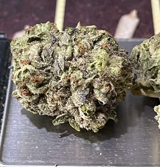 GELONADE 28g OZ ON SALE $120 SATIVA