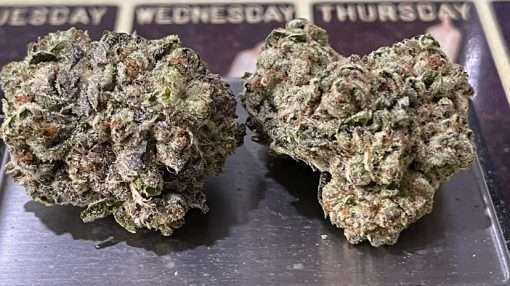 GELONADE 28g OZ ON SALE $120 SATIVA