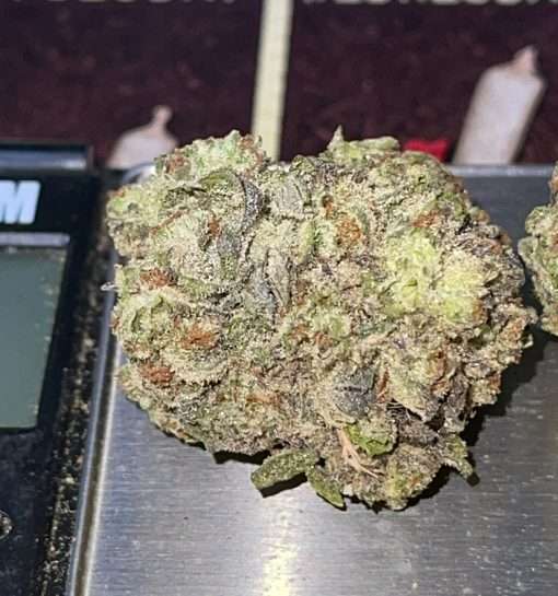 GELONADE 28g OZ ON SALE $120 SATIVA