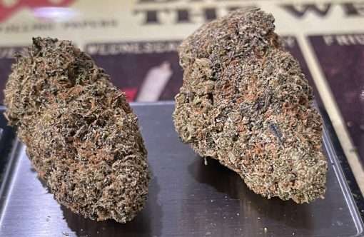 CHERRY GUMBO 🔥🔥(INDICA) INDOOR  28%THC