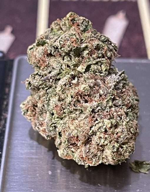 TROPICANA 28g OZ ON SALE SATIVA 🔥🔥120