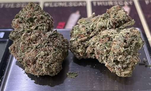 TROPICANA 28g OZ ON SALE SATIVA 🔥🔥120