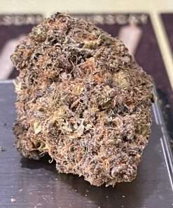 indica delivery nyc